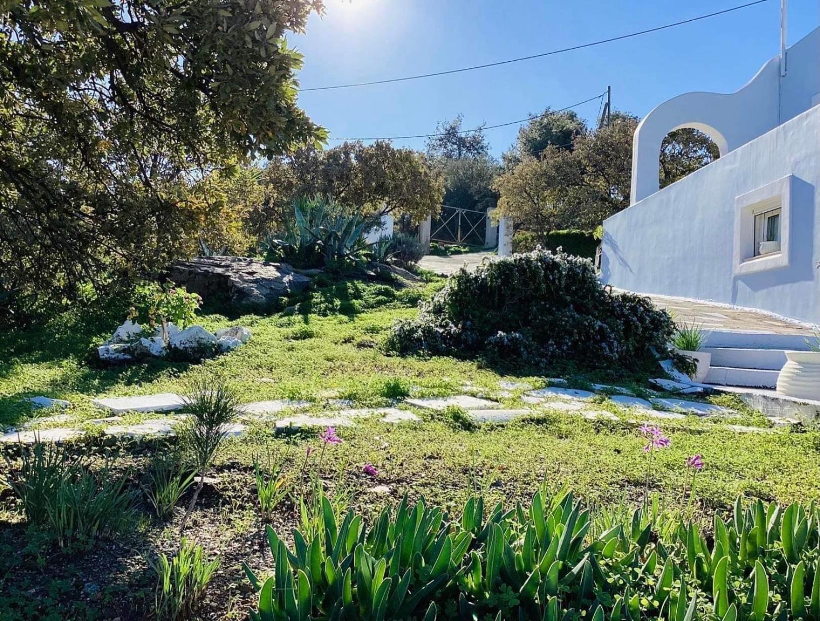 The Blue House Διαμέρισμα Βρομόλιθος Εξωτερικό φωτογραφία